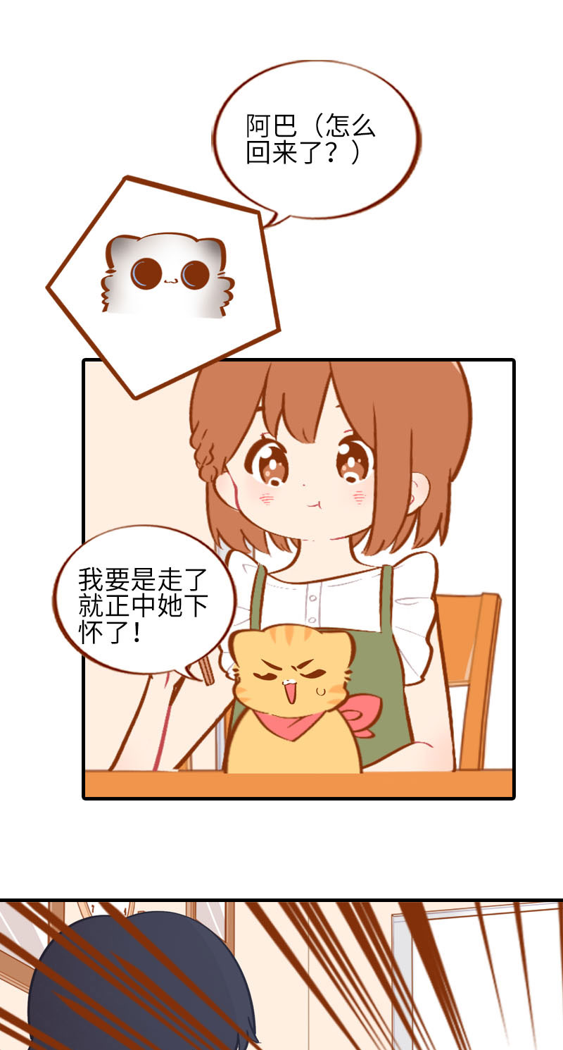 猫咪的人类饲养指南漫画,第42话 我又回来了2图