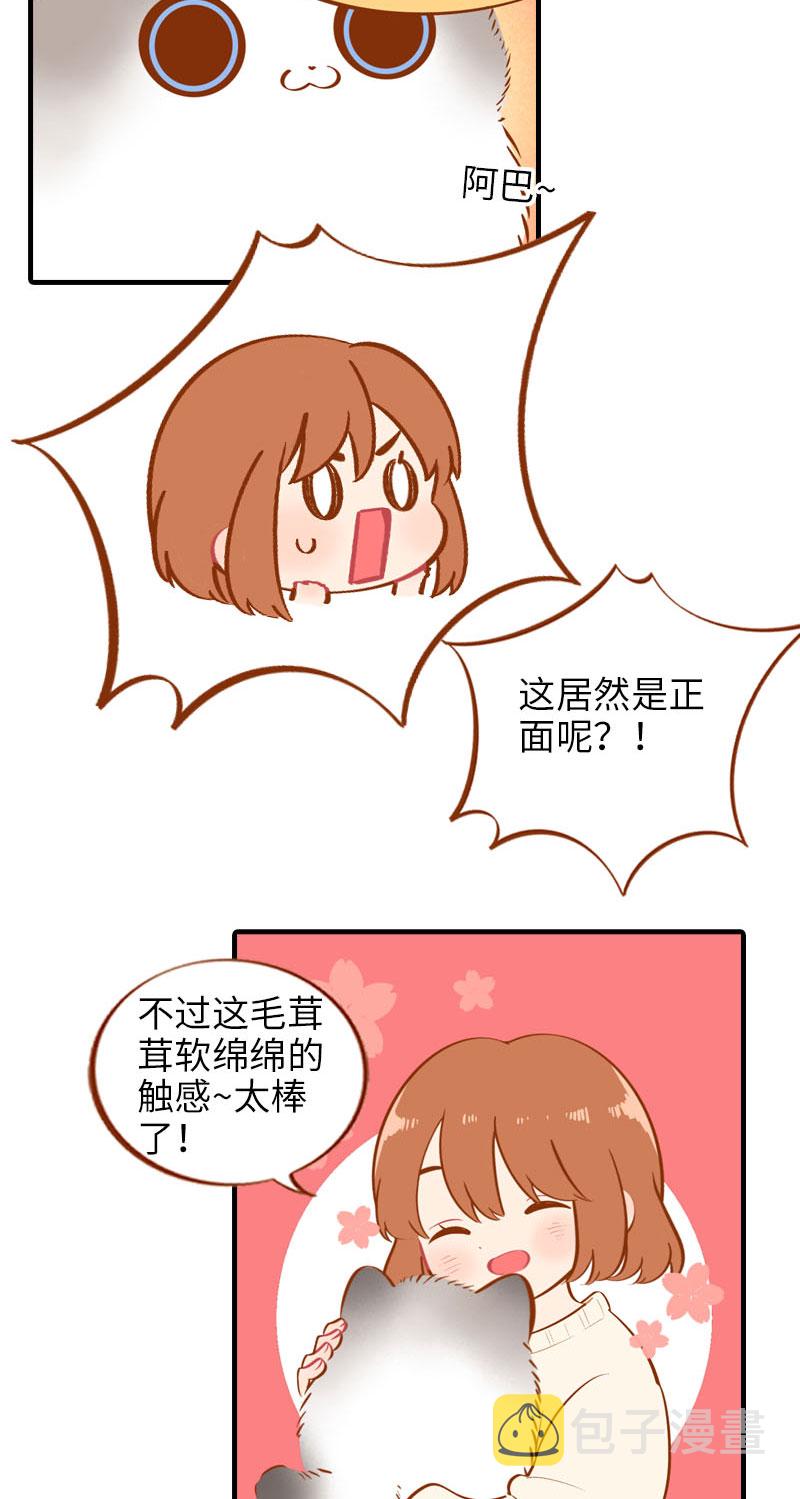 猫咪的人类饲养指南漫画,第16话 猫咪的冬季限定-爆毛2图