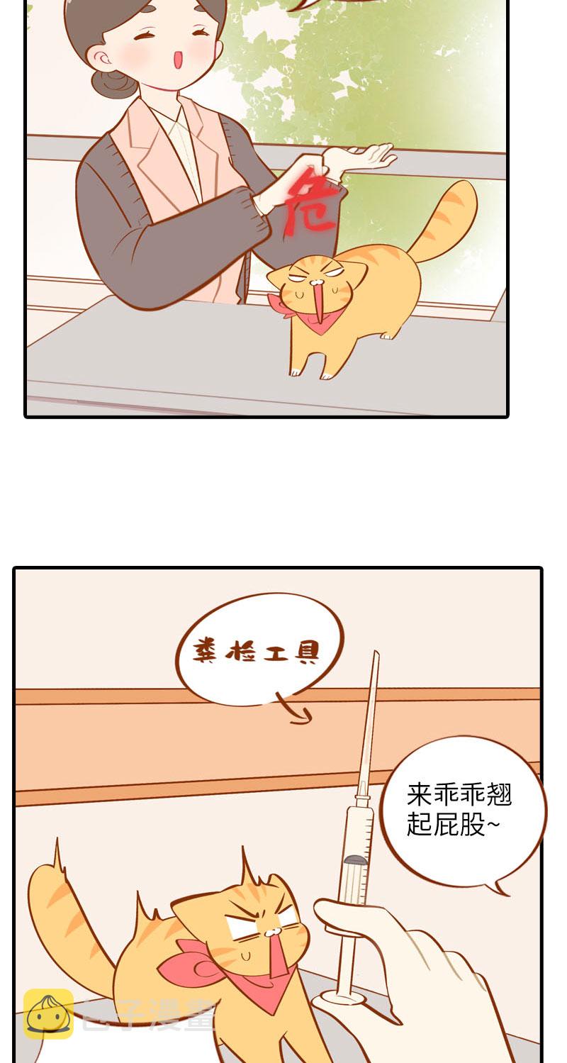 猫咪的人类饲养指南女主和医生cp漫画,第18话 宠物医院初体验1图