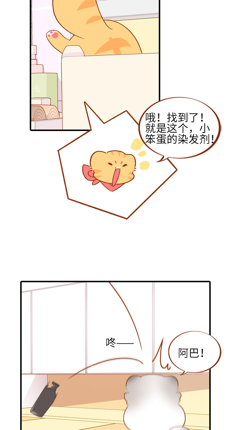 猫咪的人类饲养指南漫画,第58话 橘子和阿巴巴风格转换！2图