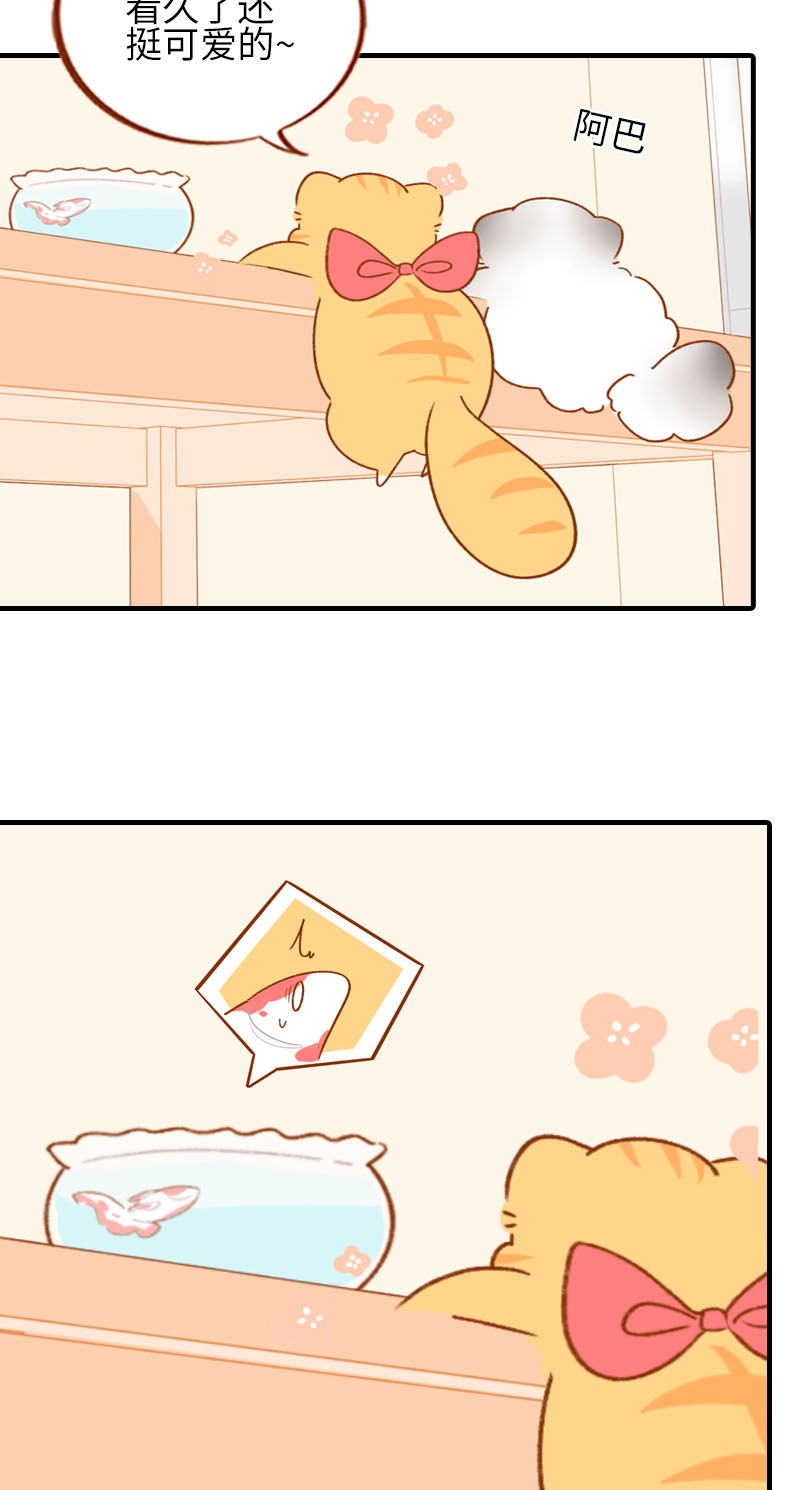 猫咪的人类饲养指南漫画,第57话 谁还吃观赏鱼啊~2图
