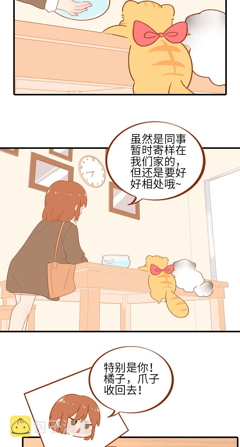 猫咪的人类饲养指南漫画,第57话 谁还吃观赏鱼啊~1图