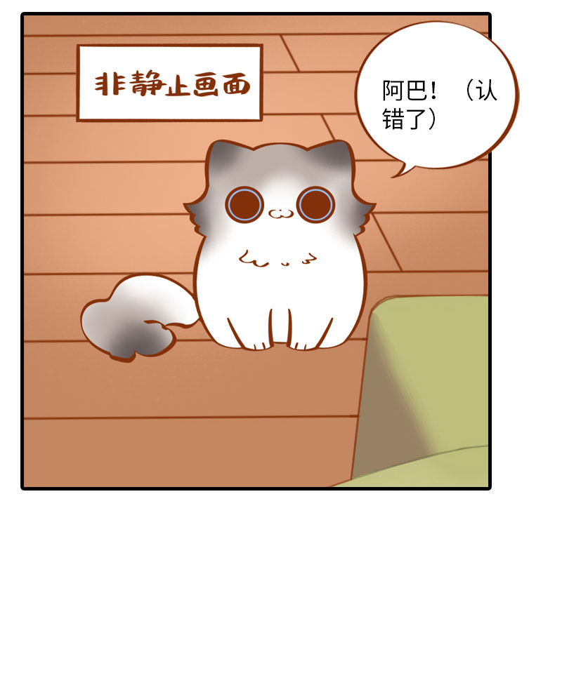 猫咪的人类饲养指南漫画,第7话 你认错了吗？2图