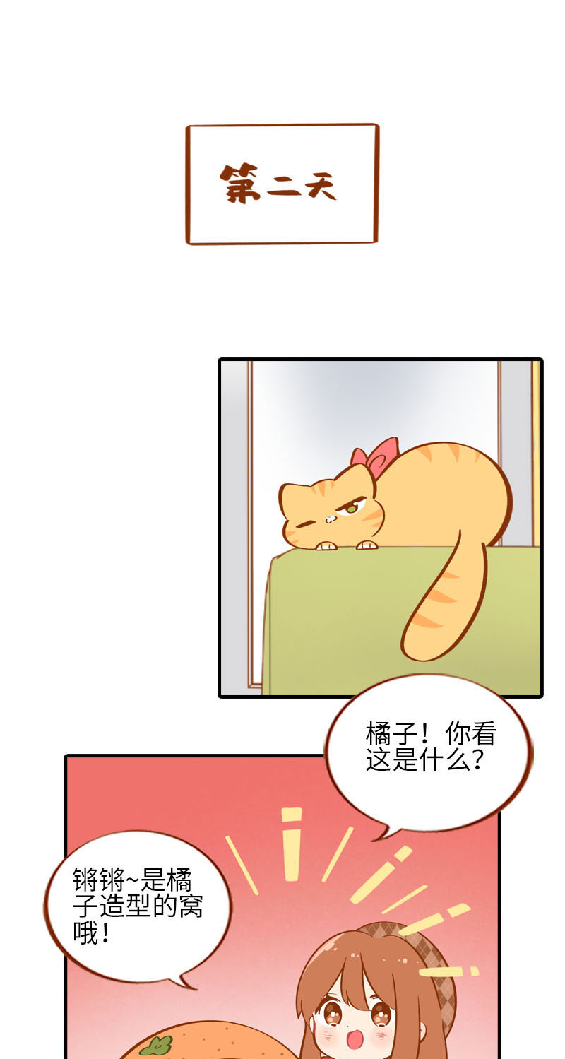 猫咪的人类饲养指南漫画,第21话 橘子黑历史2图