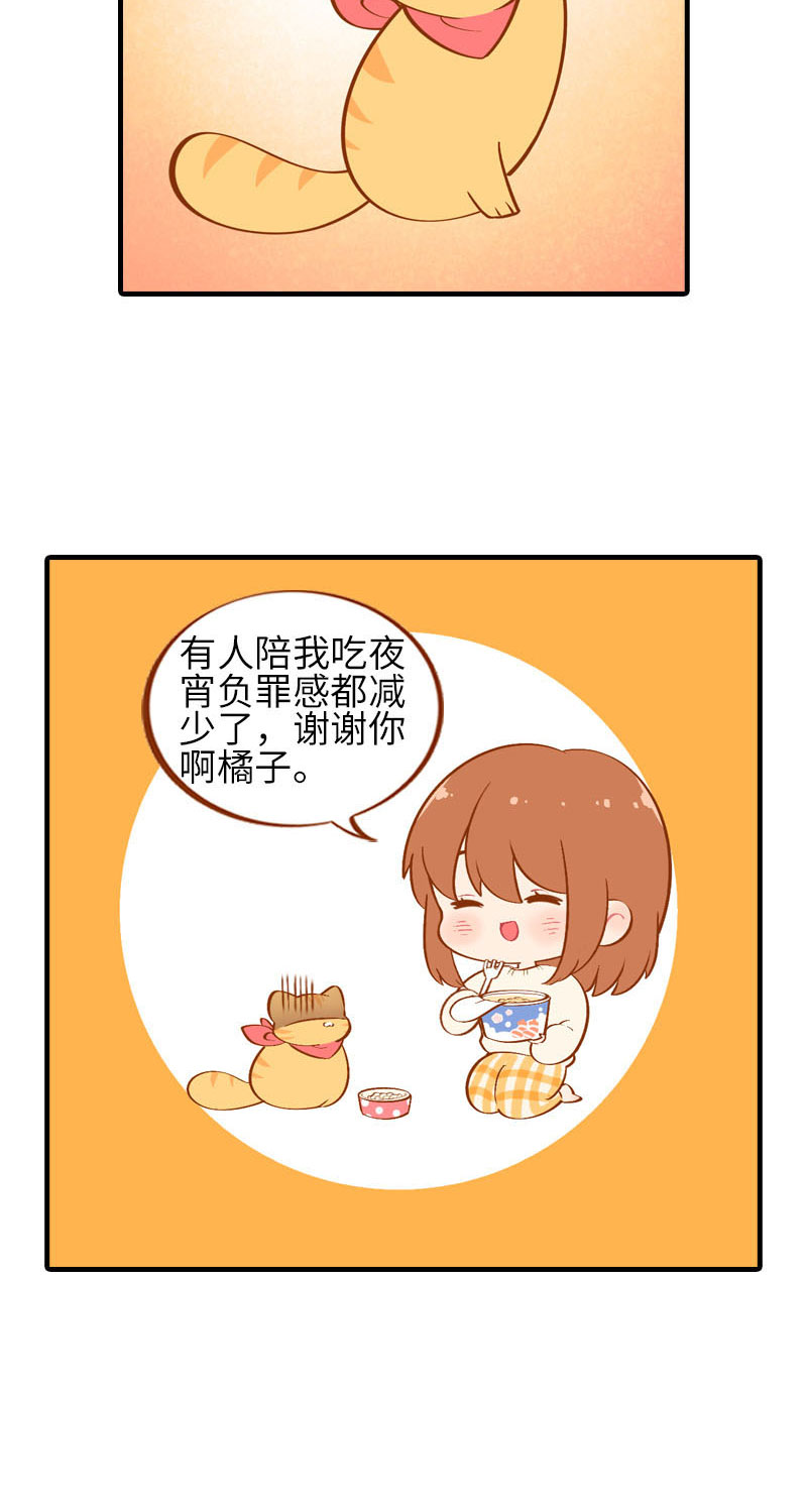猫咪的人类饲养指南女主和医生cp漫画,第22话 夜宵1图