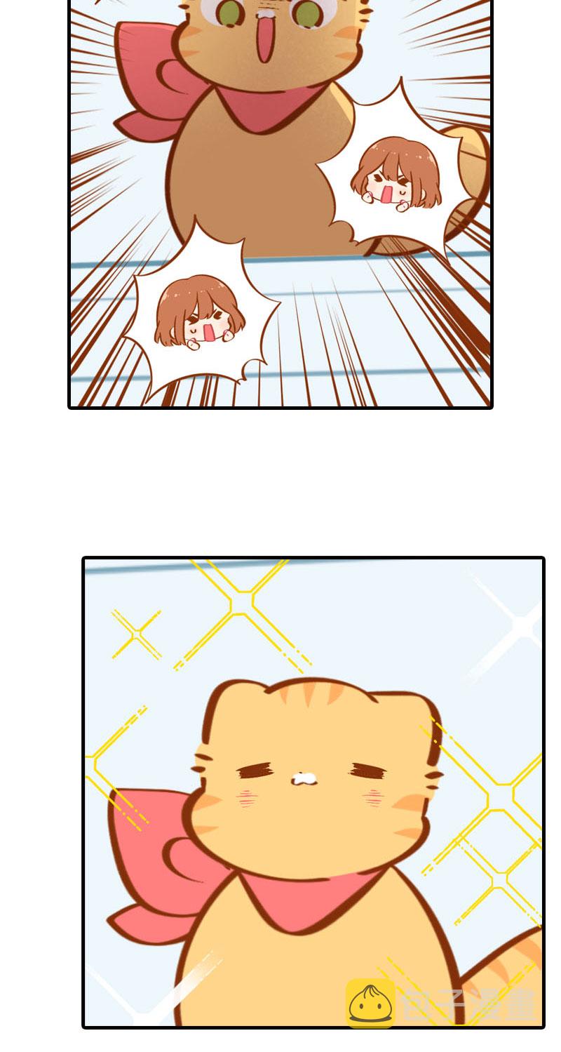 猫咪的人类饲养指南女主和医生cp漫画,第35话 橘子和阿巴巴的初次见面1图