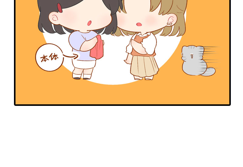 猫咪的人类饲养指南漫画,第49话 橘子的本体1图
