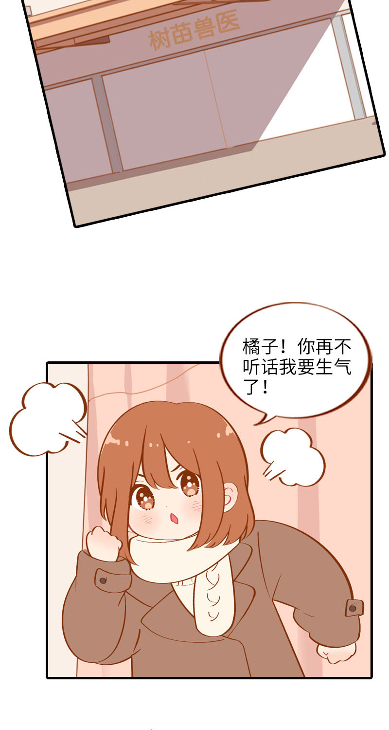 猫咪的人类饲养指南漫画,第18话 宠物医院初体验1图