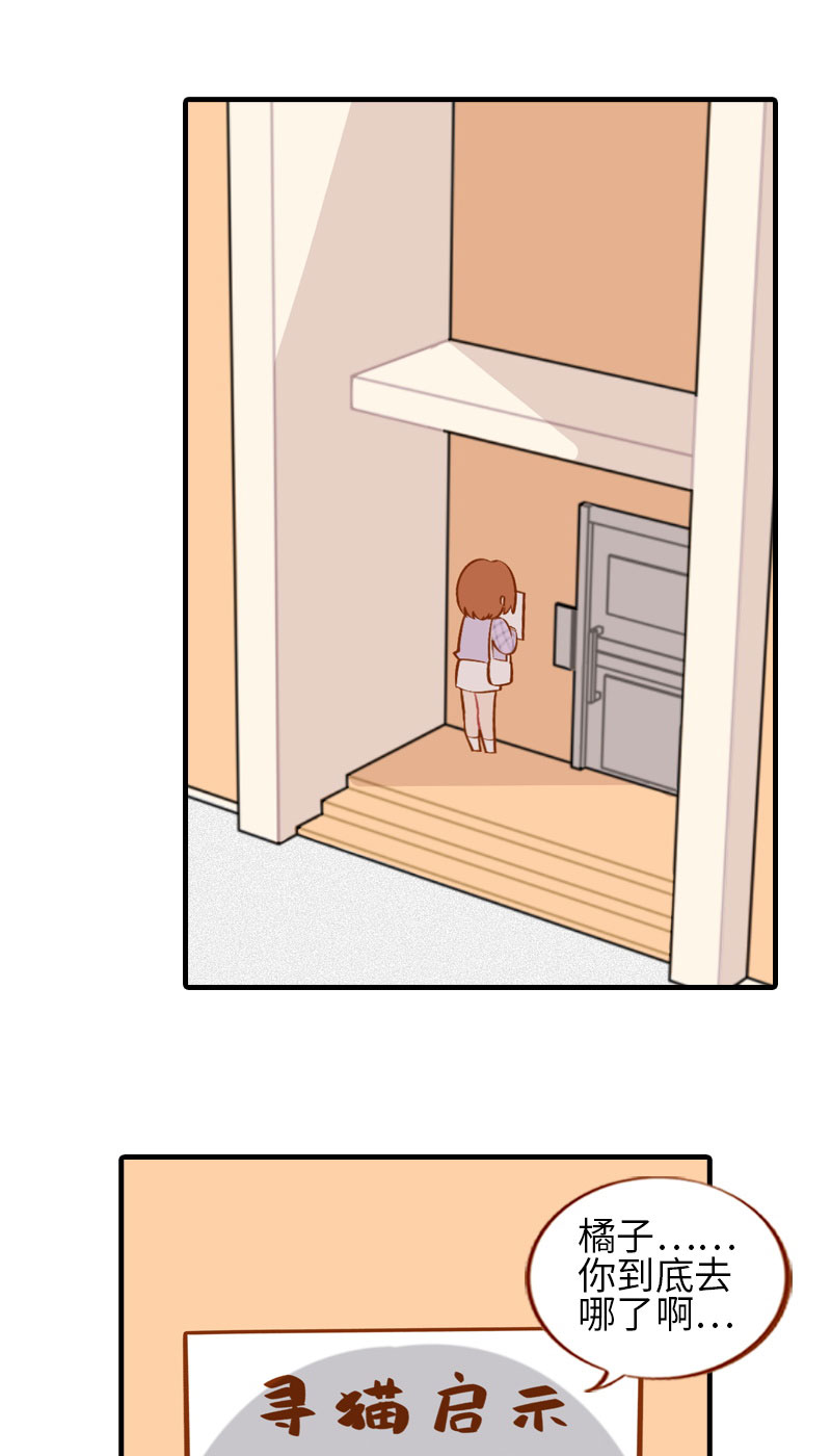 猫咪的人类饲养指南漫画,番外1 差一点就失去你了2图