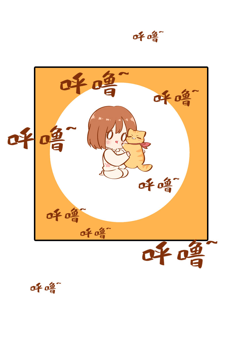 猫咪的人类饲养指南女主和医生cp漫画,第13话 橘子呼噜呼噜2图