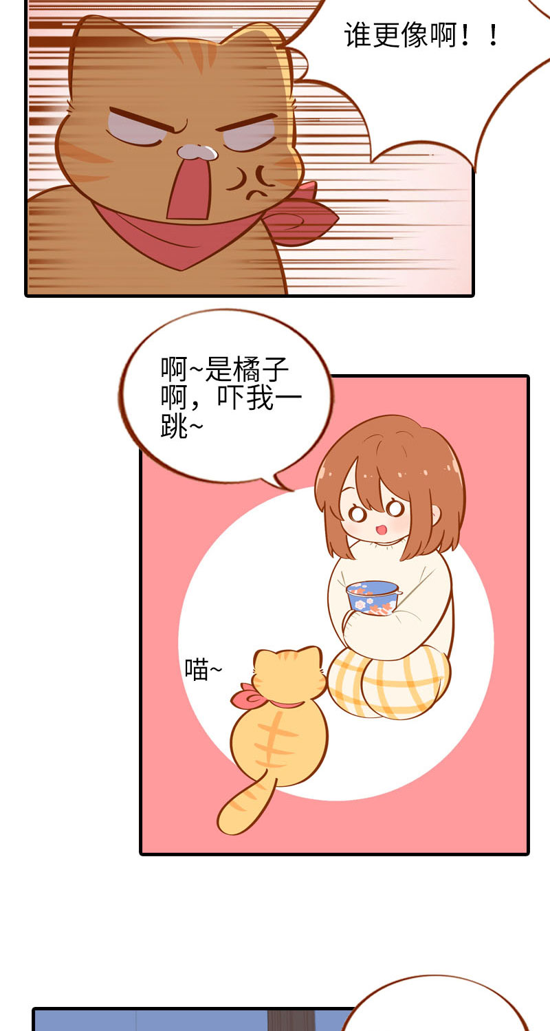 猫咪的人类饲养指南漫画,第22话 夜宵2图