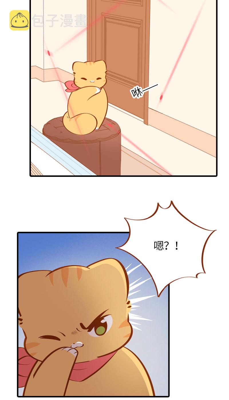 猫咪的人类饲养指南女主和医生cp漫画,第27话 在下橘子，接受挑战1图
