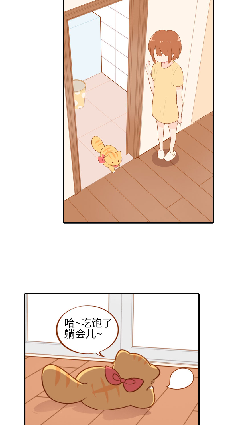 猫咪的人类饲养指南女主和医生cp漫画,第46话 来一口猫薄荷1图