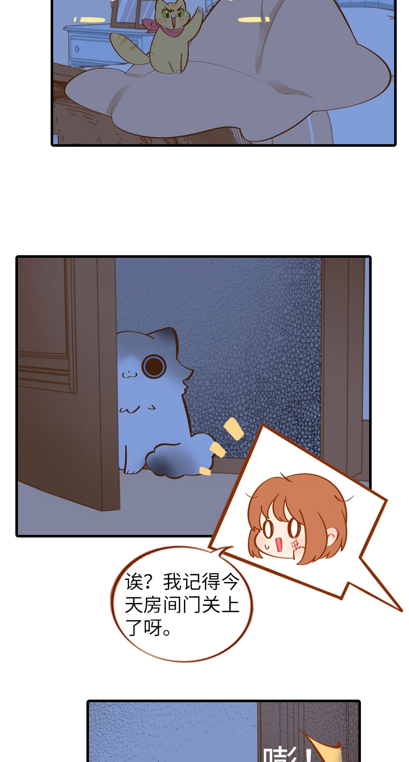 猫咪的人类饲养指南漫画,第11话 太好了你还活着！1图