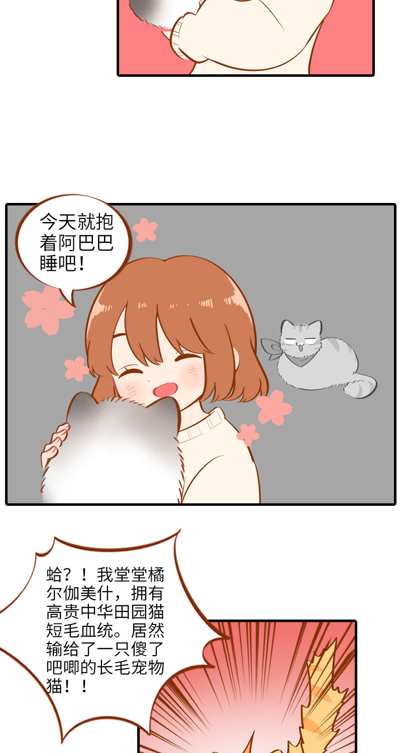 猫咪的人类饲养指南漫画,第16话 猫咪的冬季限定-爆毛1图