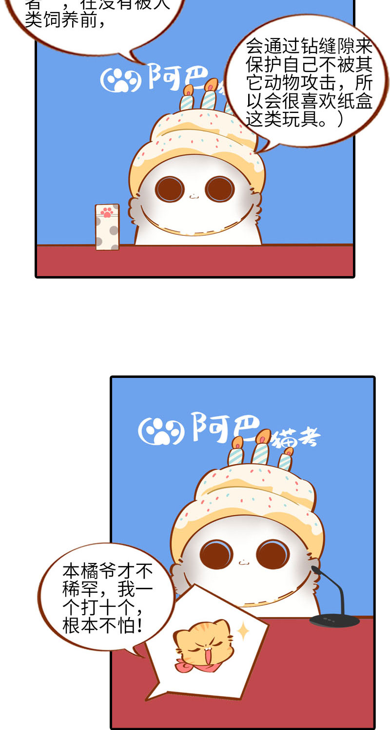 猫咪的人类饲养指南漫画,第32话 橘子来拆礼物了！1图