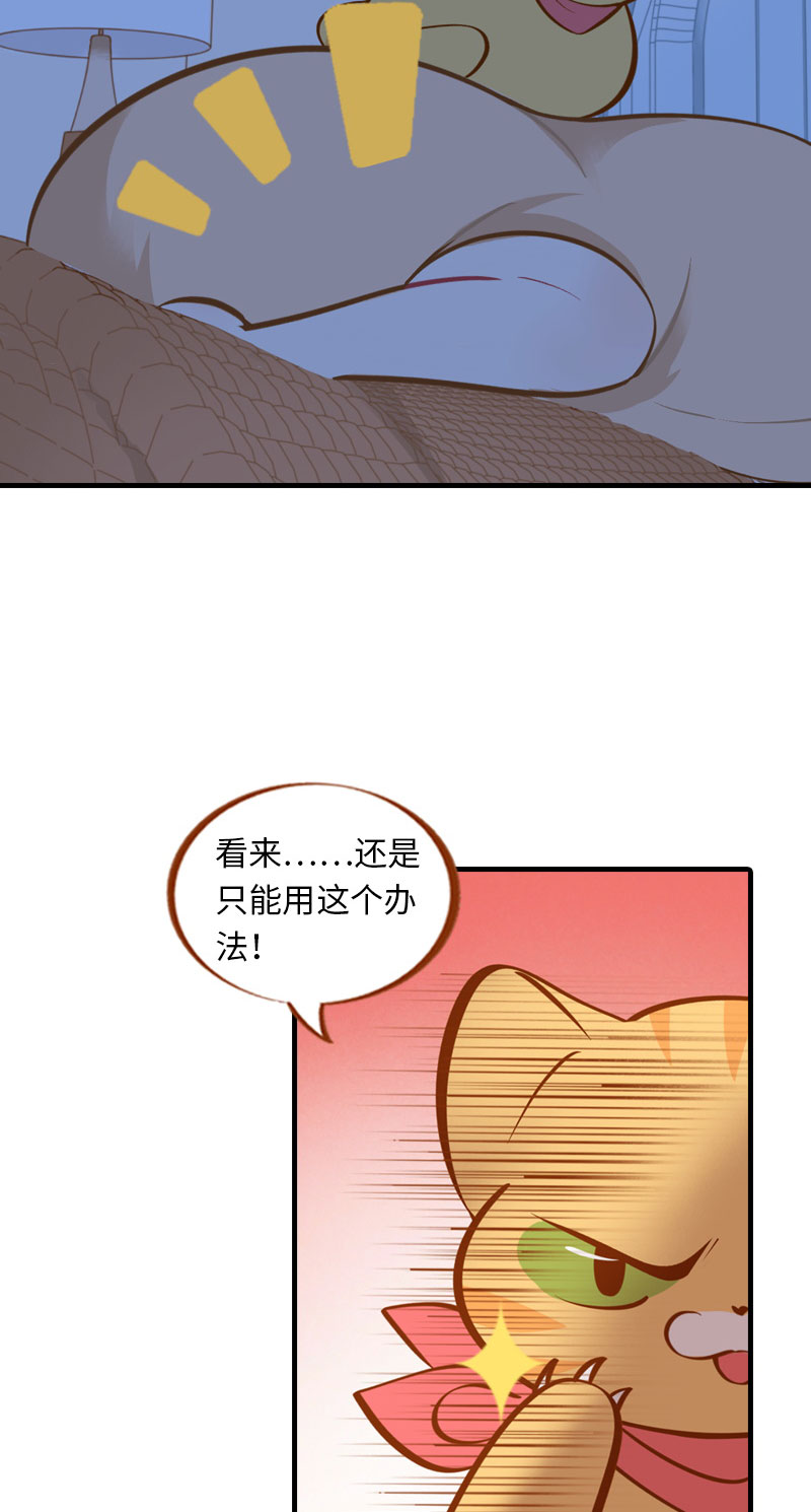 猫咪的人类饲养指南女主和医生cp漫画,第5话  夜晚小动作2图
