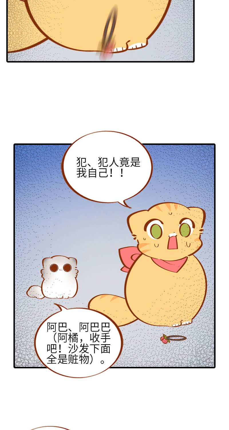猫咪的人类饲养指南漫画,第39话 收手吧阿橘！1图