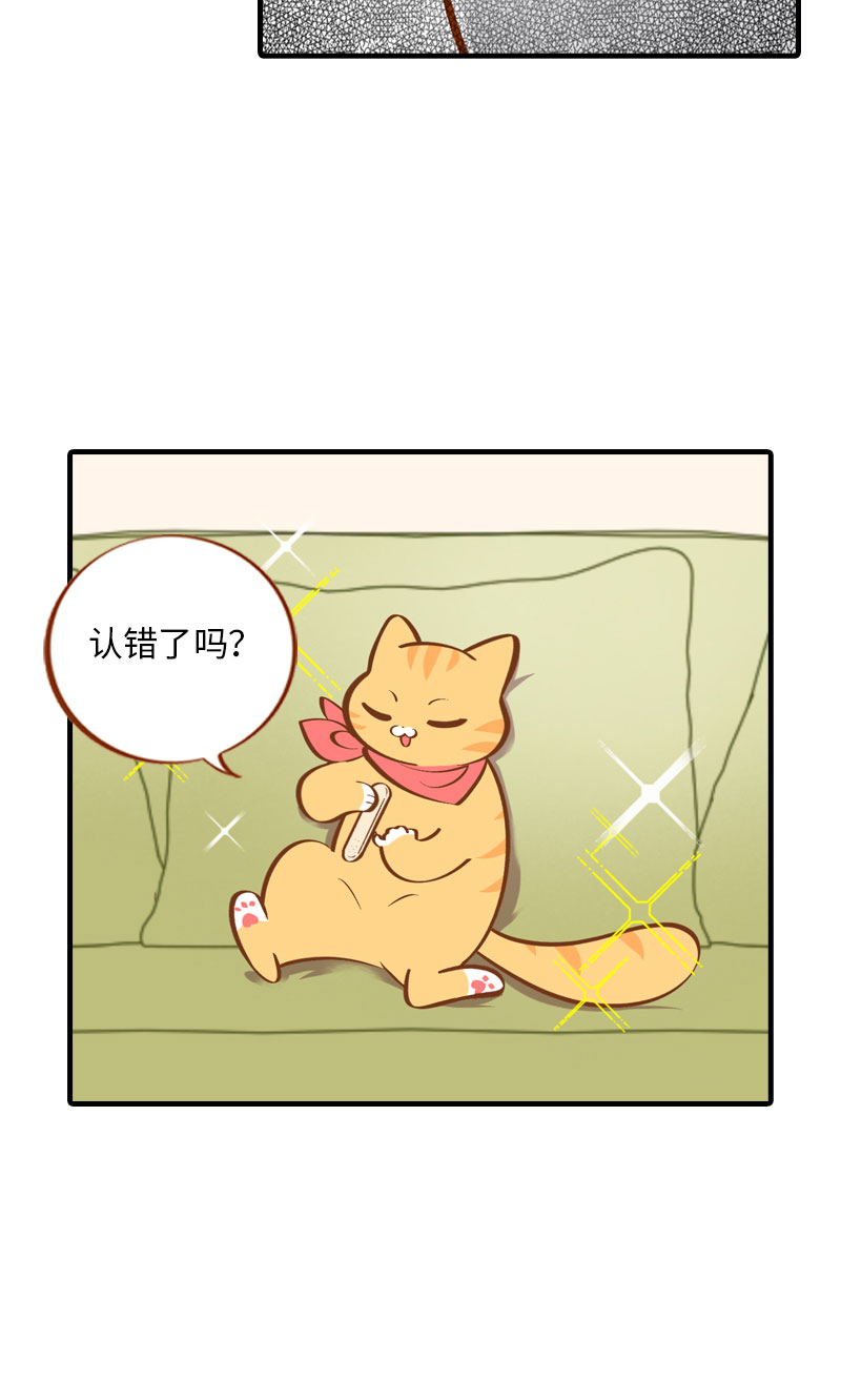 猫咪的人类饲养指南漫画,第7话 你认错了吗？1图
