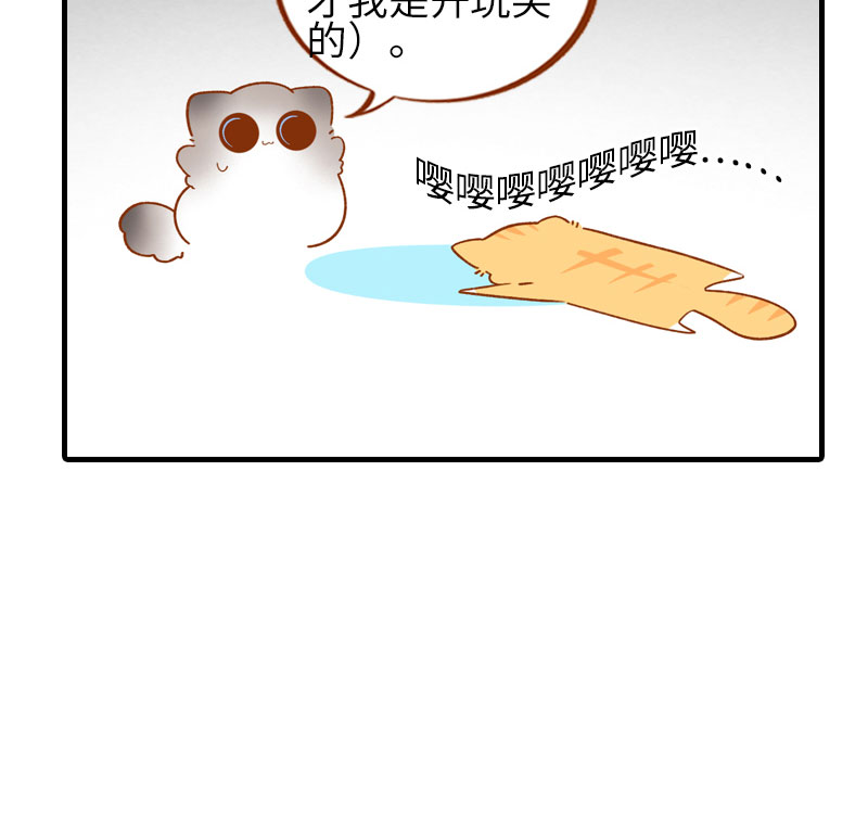 猫咪的人类饲养指南漫画,第50话 以爲自己被抛弃的橘子2图