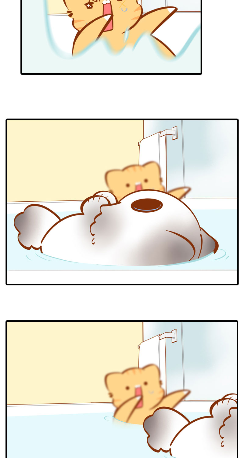 猫咪的人类饲养指南漫画,第30话 一年一度洗澡日1图