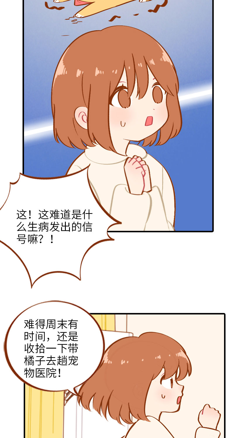 猫咪的人类饲养指南漫画,第13话 橘子呼噜呼噜2图