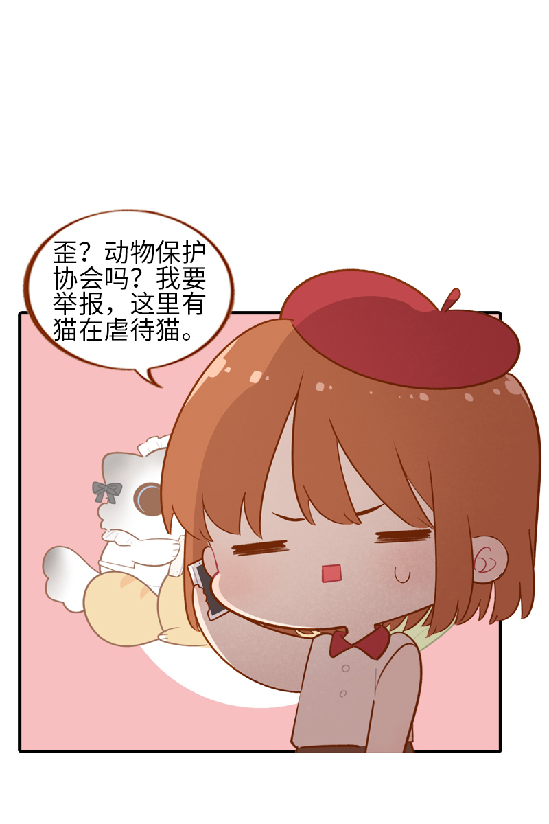 猫咪的人类饲养指南漫画,第44话 猫咪的幸福生活（现象中）2图