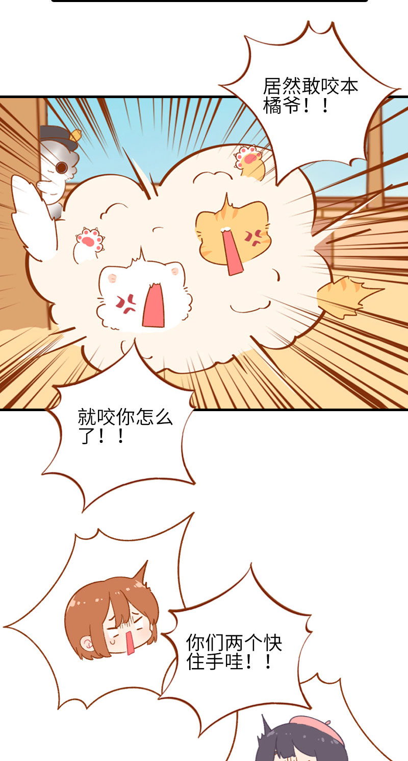 猫咪的人类饲养指南漫画,第48话 一生宿敌·雪球1图