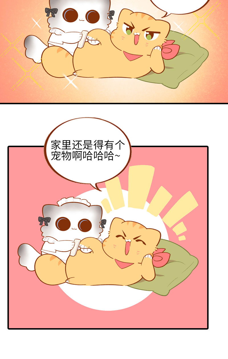 猫咪的人类饲养指南漫画,第44话 猫咪的幸福生活（现象中）1图