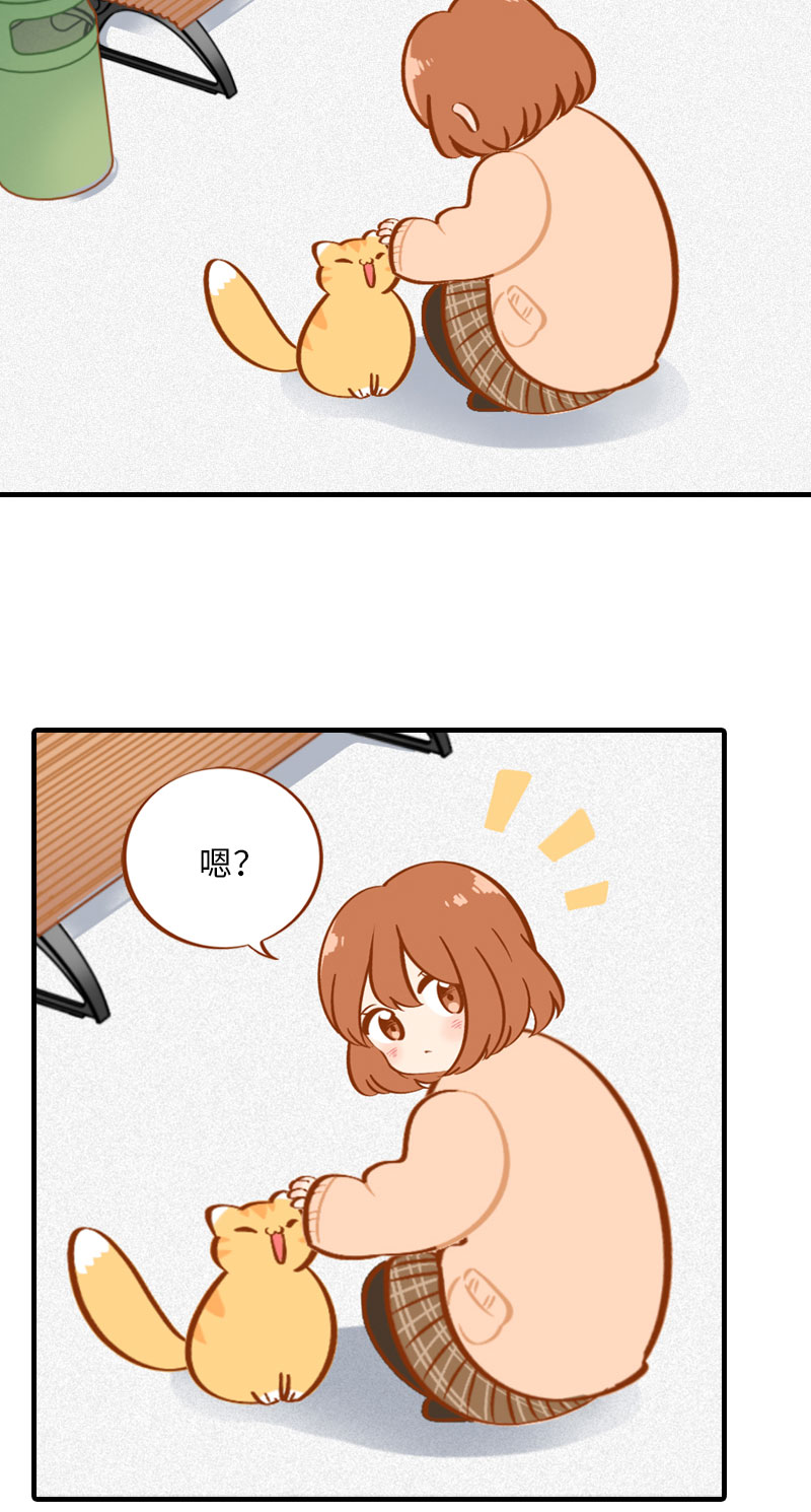 猫咪的人类饲养指南漫画,第7话 你认错了吗？2图