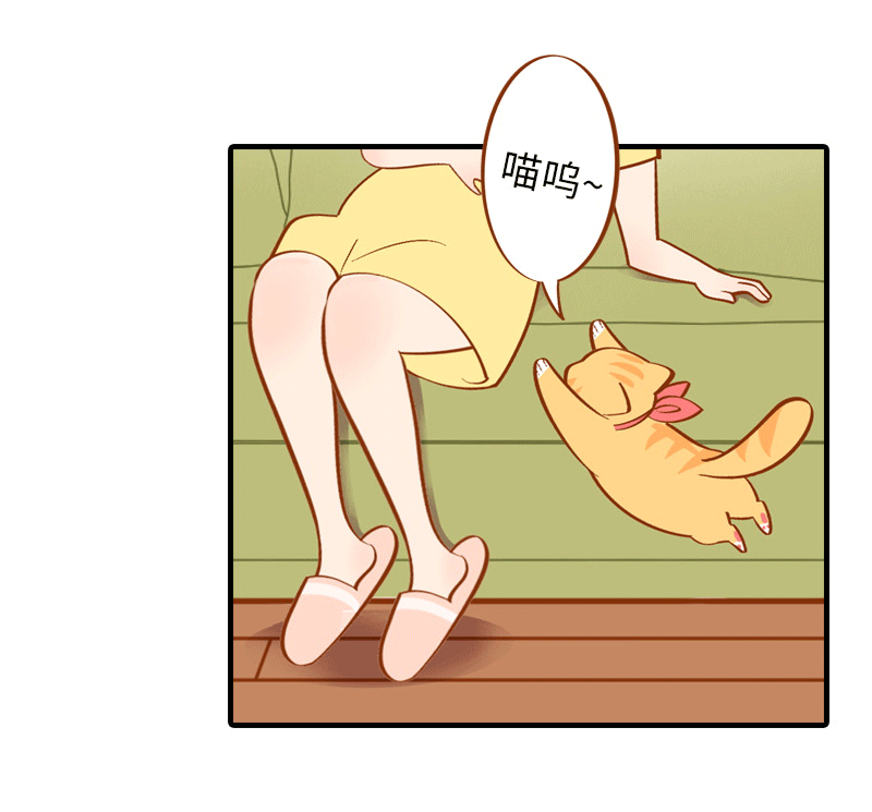 猫咪的人类饲养指南女主和医生cp漫画,第1话  肚皮肉大作战1图