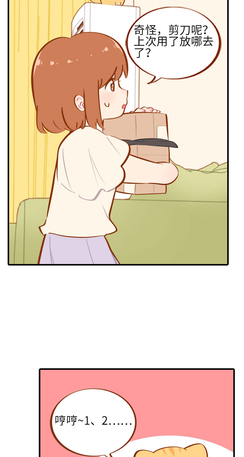 猫咪的人类饲养指南漫画,第37话 最没排面的男主人2图