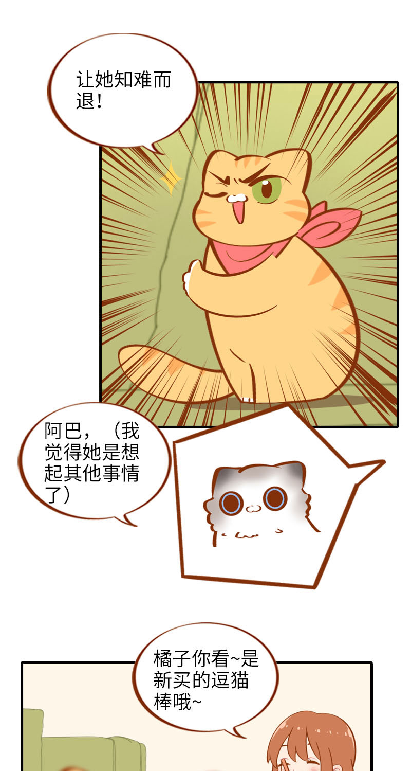 猫咪的人类饲养指南漫画,第17话 橘子的自我攻略2图