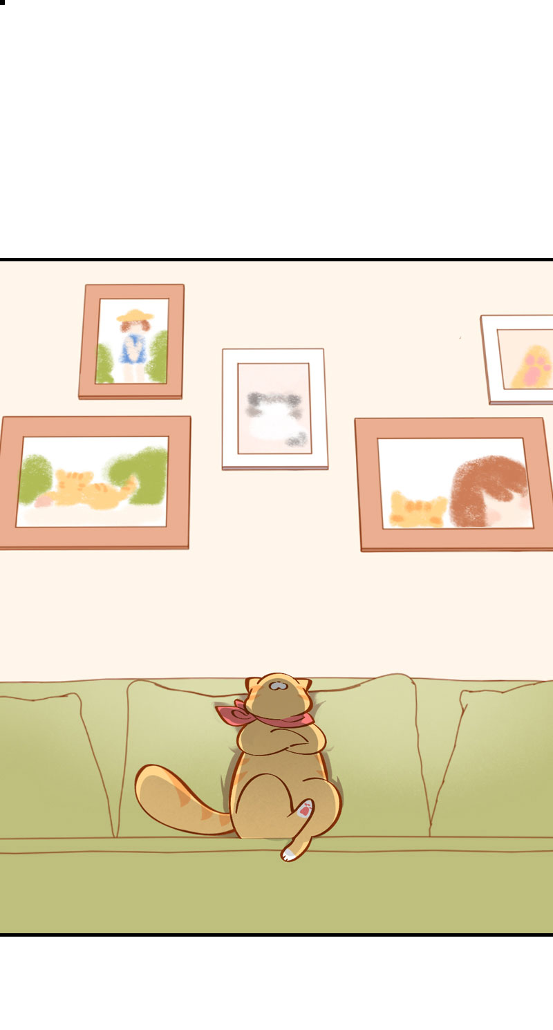 猫咪的人类饲养指南漫画,第7话 你认错了吗？2图