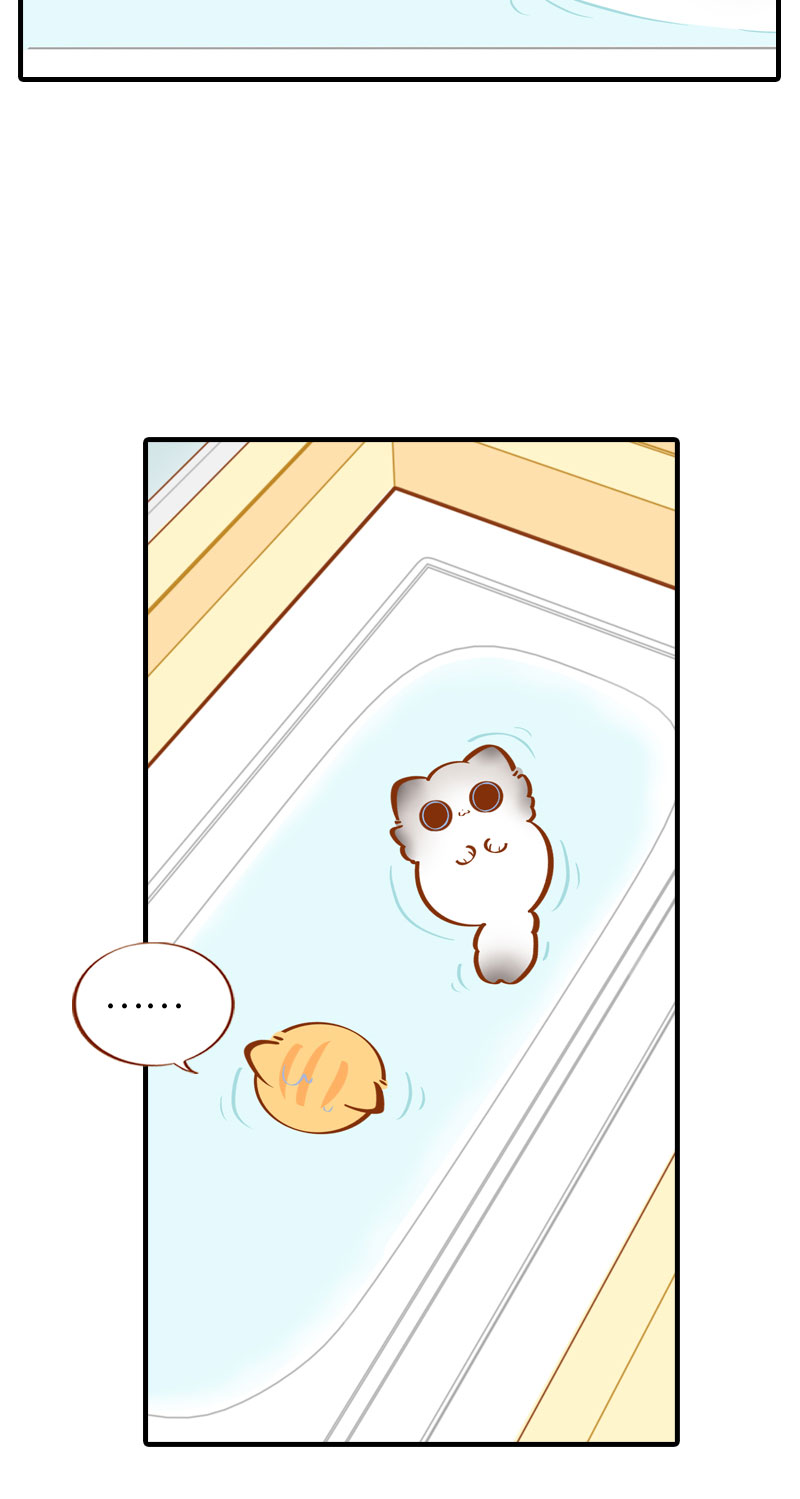 猫咪的人类饲养指南漫画,第30话 一年一度洗澡日2图