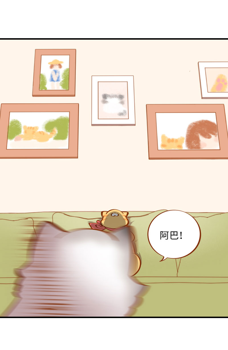 猫咪的人类饲养指南漫画,第7话 你认错了吗？1图
