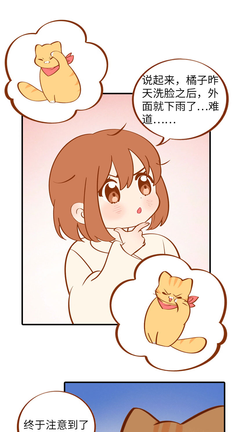 猫咪的人类饲养指南女主和医生cp漫画,第10话 名侦探橘子2图