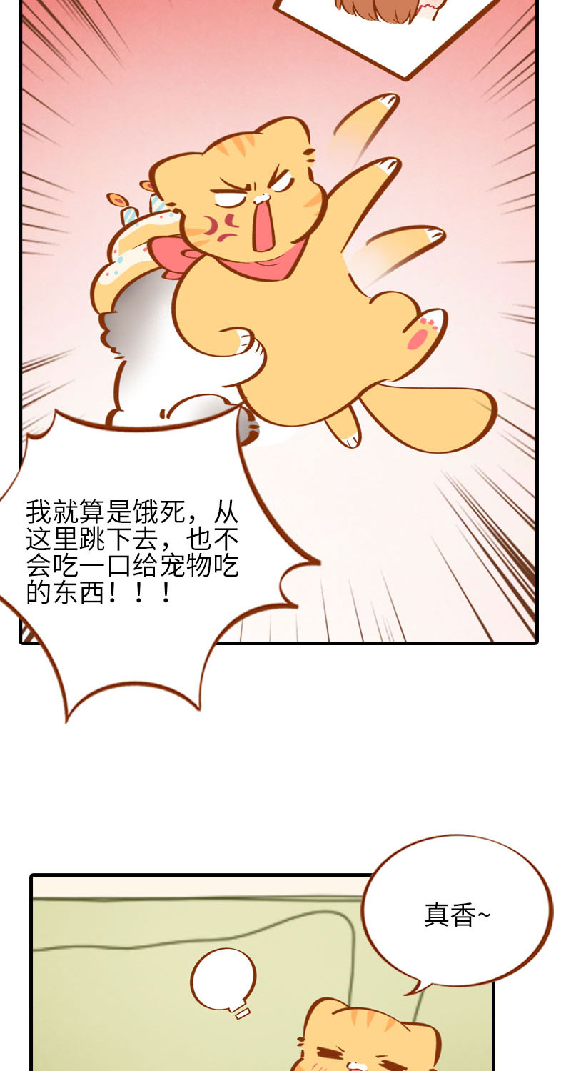 猫咪的人类饲养指南女主和医生cp漫画,第33话 许个愿吧~2图