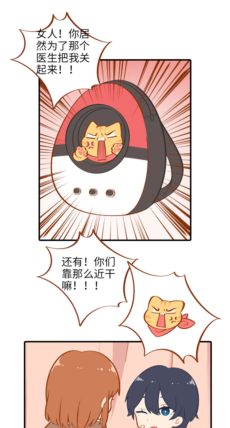 猫咪的人类饲养指南漫画,第19话 剪指甲2图