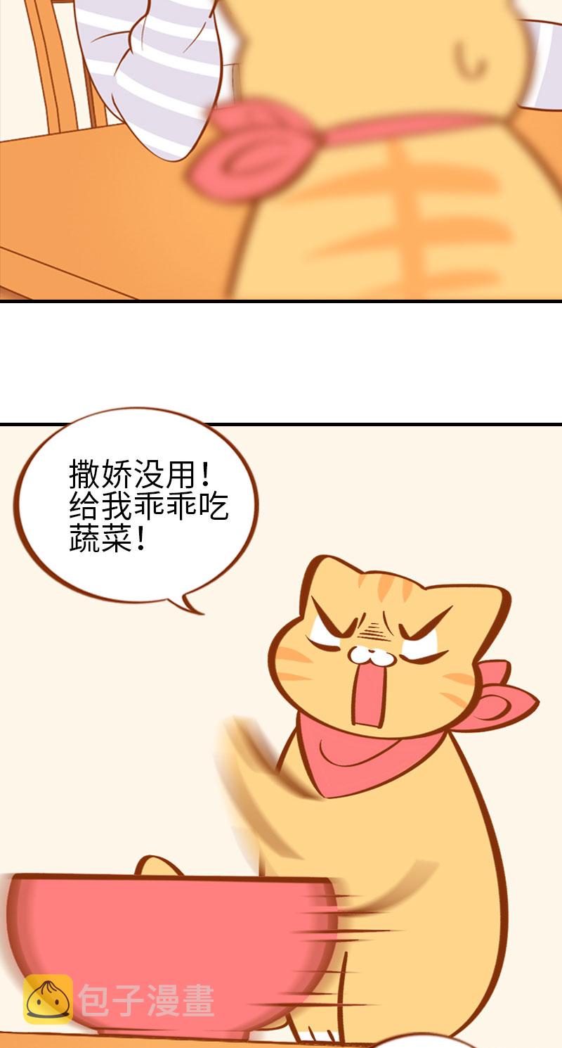 猫咪的人类饲养指南女主和医生cp漫画,第2话 不是我要吃肉是你吃蔬菜2图