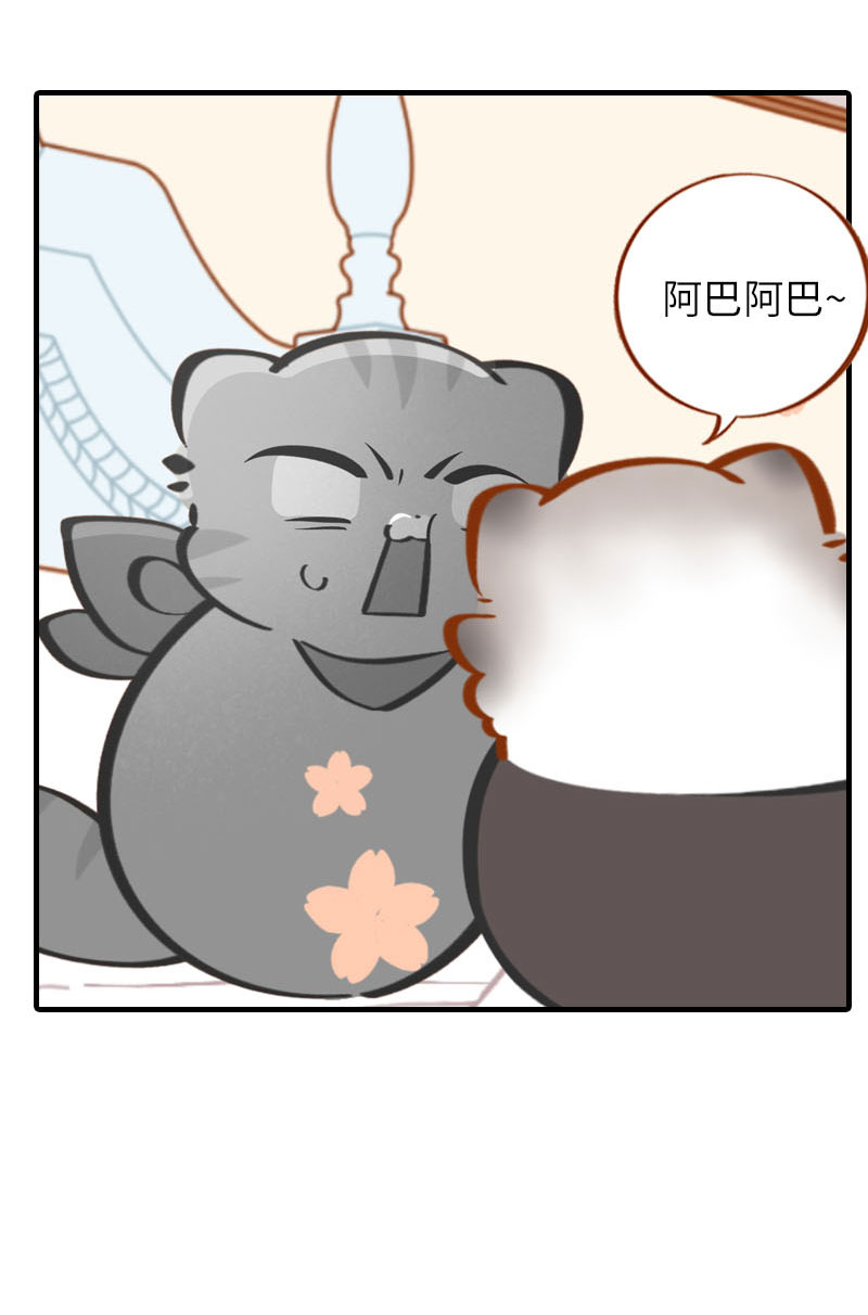 猫咪的人类饲养指南漫画,第36话 橘子！地位不保？！1图