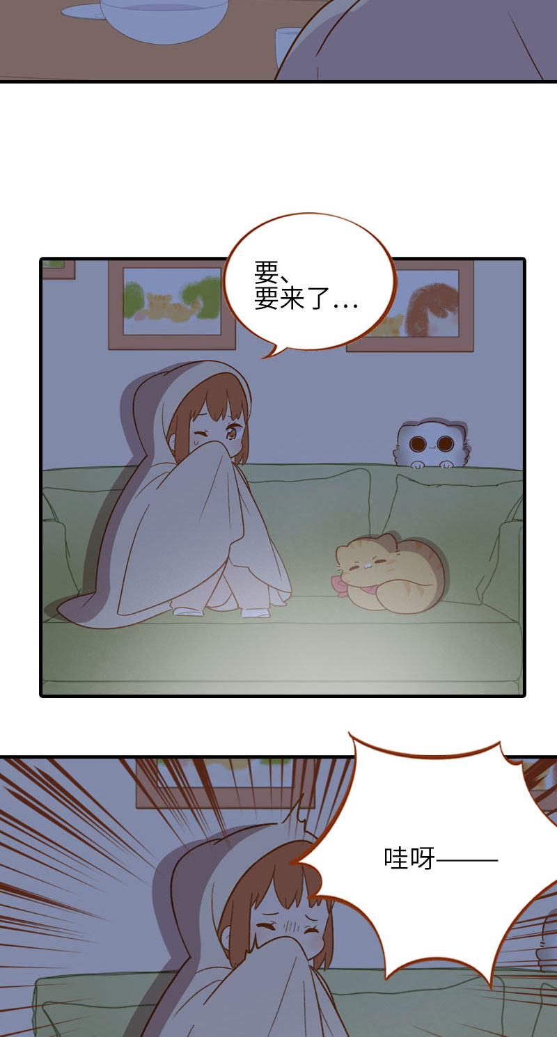 猫咪的人类饲养指南漫画,第60话 橘子陪你看恐怖片（完结）1图