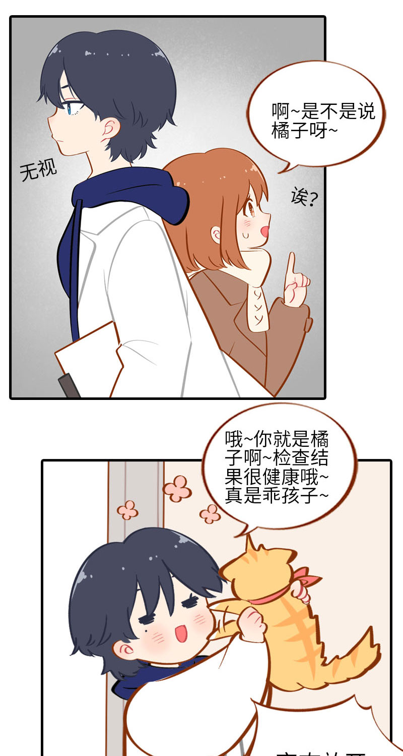 猫咪的人类饲养指南女主和医生cp漫画,第18话 宠物医院初体验2图
