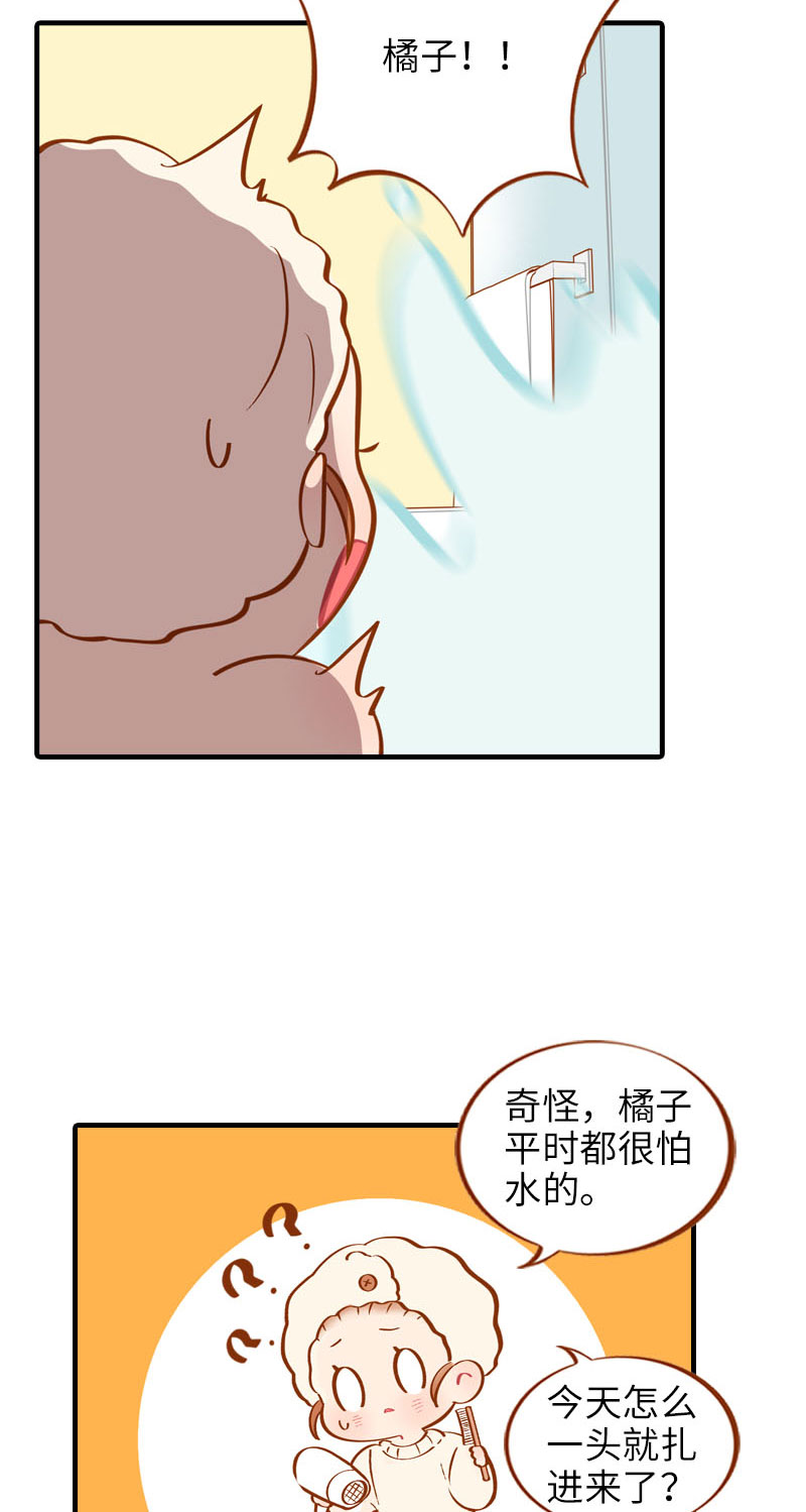 猫咪的人类饲养指南漫画,第14话 泡澡1图