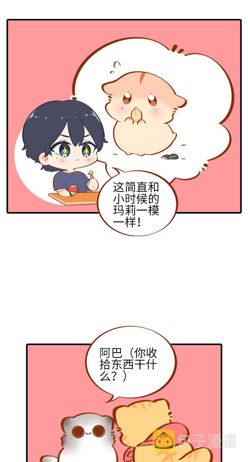猫咪的人类饲养指南漫画,第41话 我失宠了我要离家出走！1图