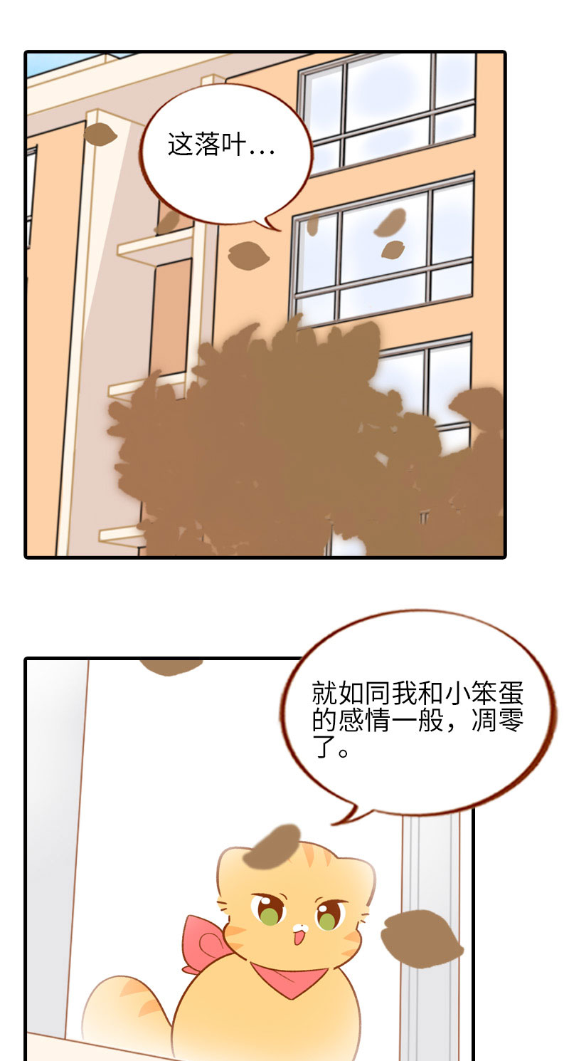 猫咪的人类饲养指南漫画,第52话 橘爷深夜嘿嘿嘿…2图