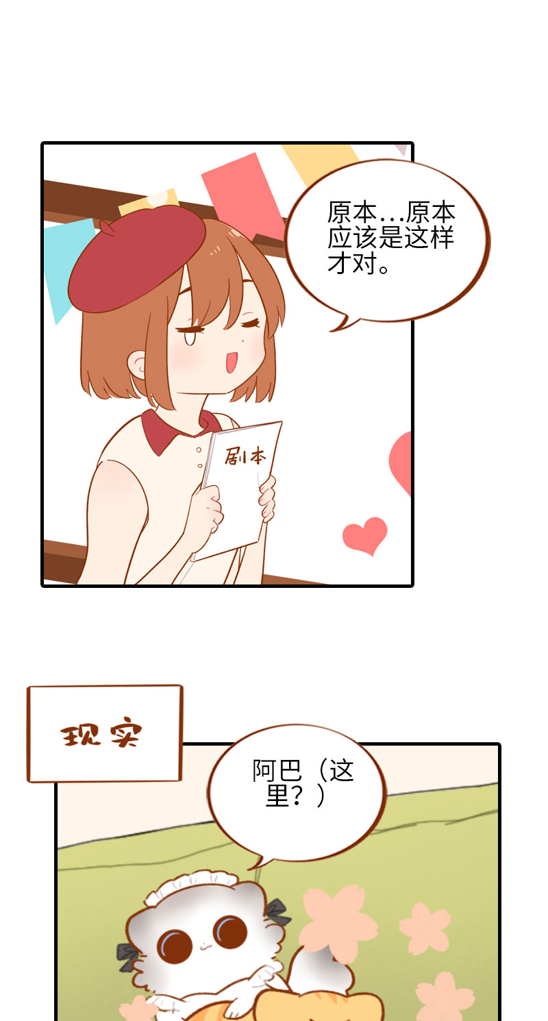 猫咪的人类饲养指南漫画,第44话 猫咪的幸福生活（现象中）1图