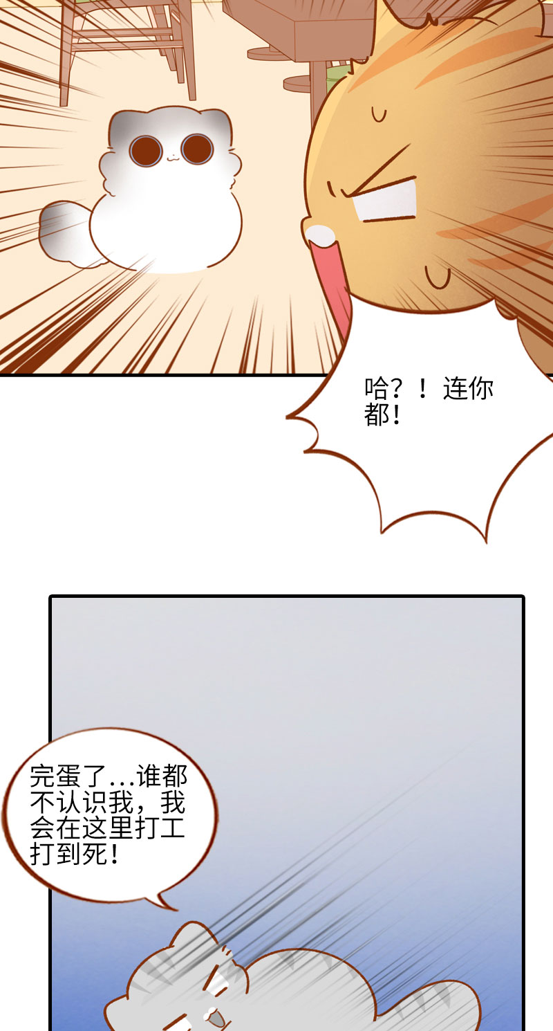 猫咪的人类饲养指南漫画,第50话 以爲自己被抛弃的橘子2图