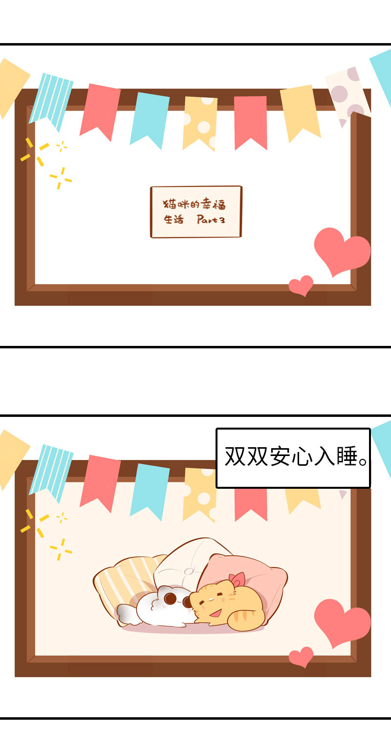猫咪的人类饲养指南漫画,第44话 猫咪的幸福生活（现象中）2图