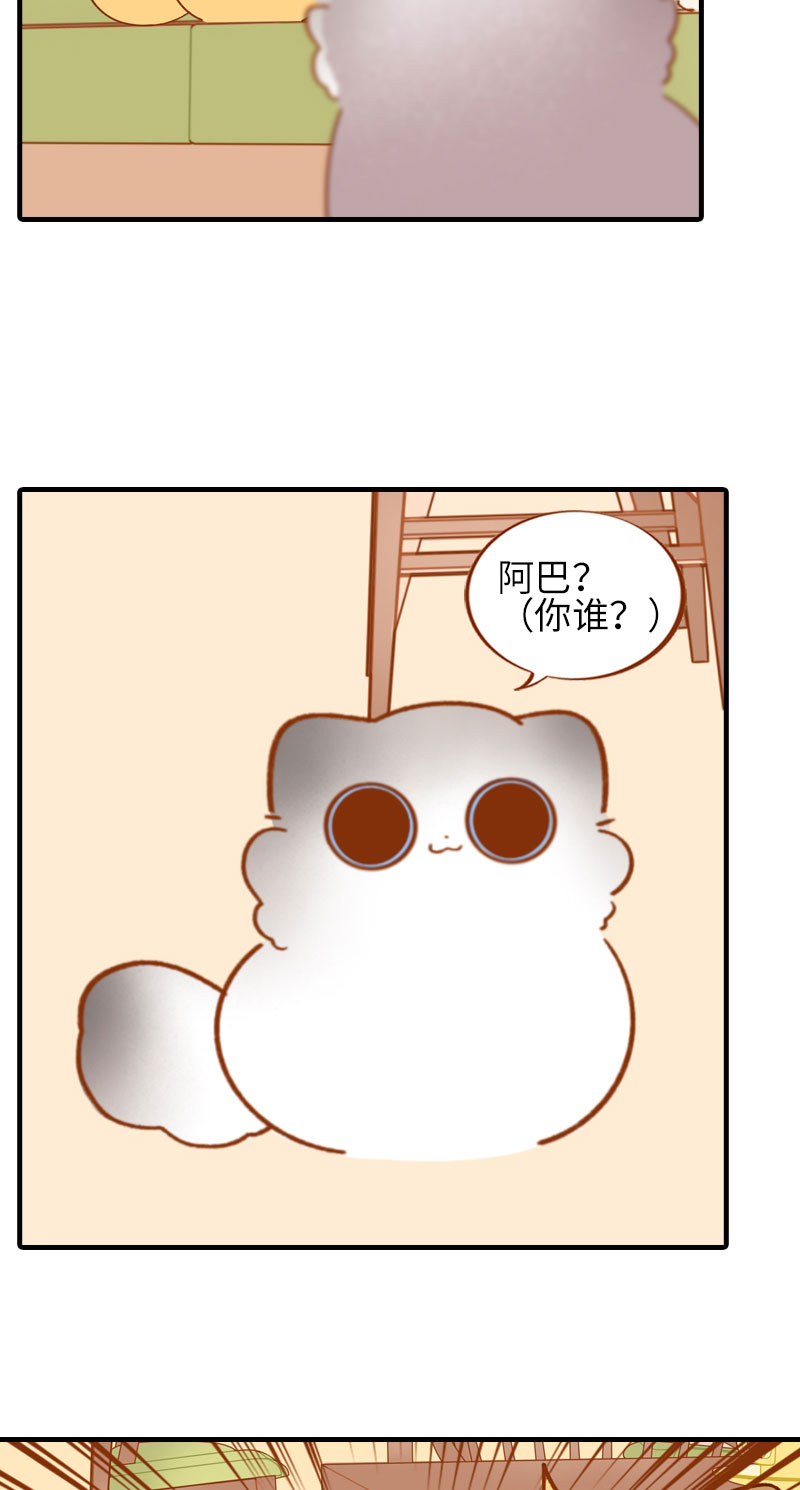 猫咪的人类饲养指南漫画,第50话 以爲自己被抛弃的橘子1图